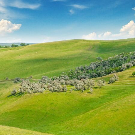 landscape with hilly field and blue skyの写真素材