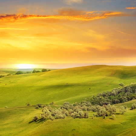 scenic fields, hills and sunriseの写真素材