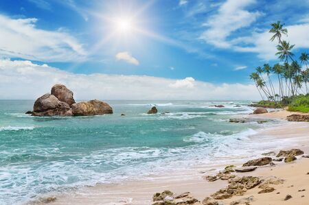 ocean, picturesque beach and blue skyの写真素材