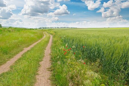 field, country road and a blue skyの写真素材