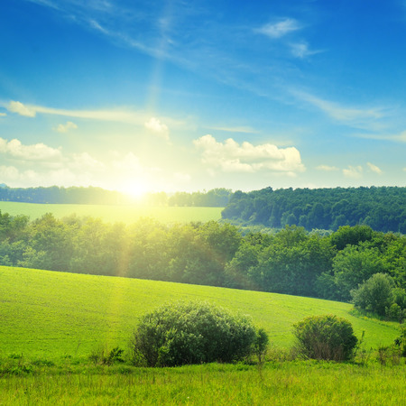 field, sunrise and blue skyの写真素材