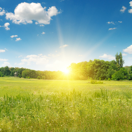field, sunrise and blue skyの写真素材