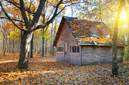 shelter in the beautiful autumn forestの写真素材