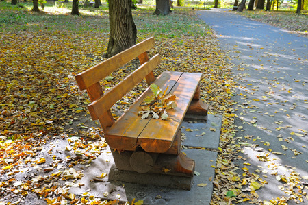 beautiful autumn park with paths and benchesの写真素材