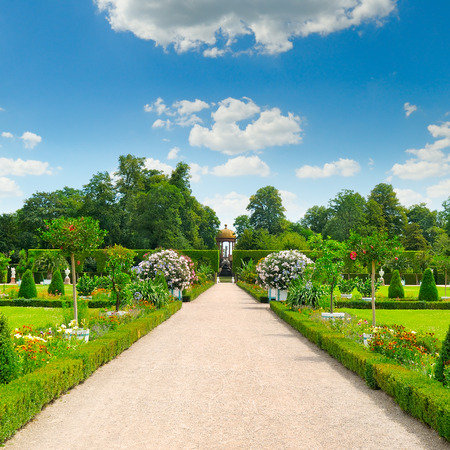summer park with beautiful flowerbedsの写真素材