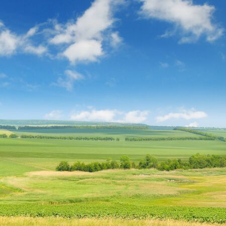 green field and blue sky with light cloudsの写真素材