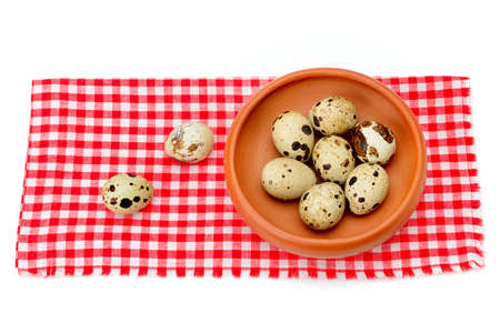 quail eggs isolated on white backgroundの写真素材