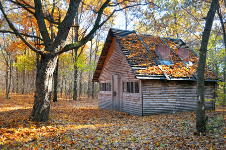 shelter in the beautiful autumn forestの写真素材