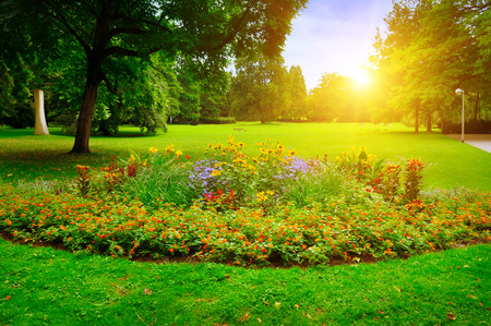 summer park with beautiful flowerbedsの写真素材