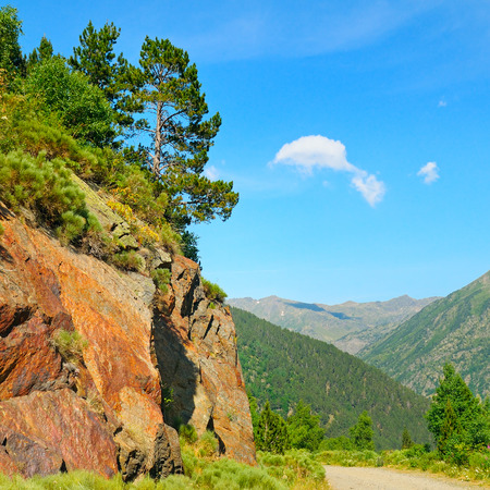Scenic mountain landscape with cliff and pinesの写真素材