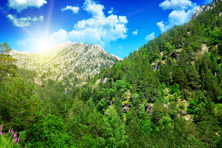 beautiful mountain landscape and sunriseの写真素材