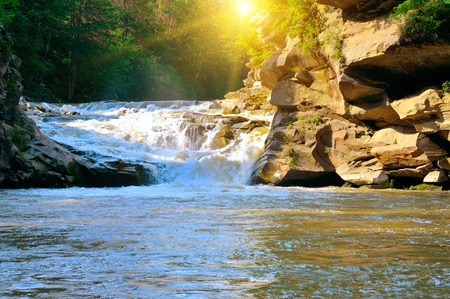 mountain river, forest and bright sunの写真素材