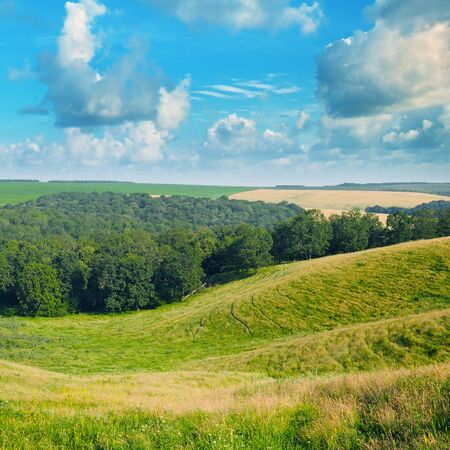 picturesque hills, forest and blue skyの写真素材