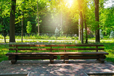 summer park, wooden benches and sunriseの写真素材