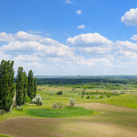 picturesque green field and blue sky