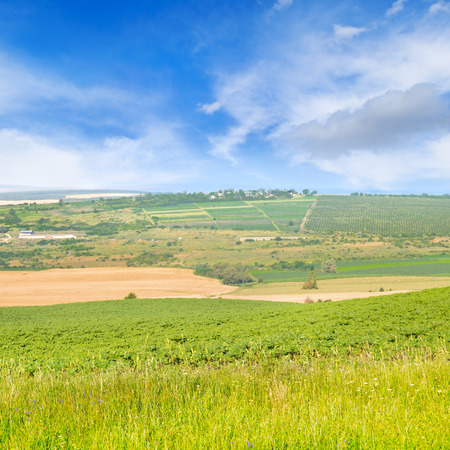 green field and blue sky with light cloudsの写真素材
