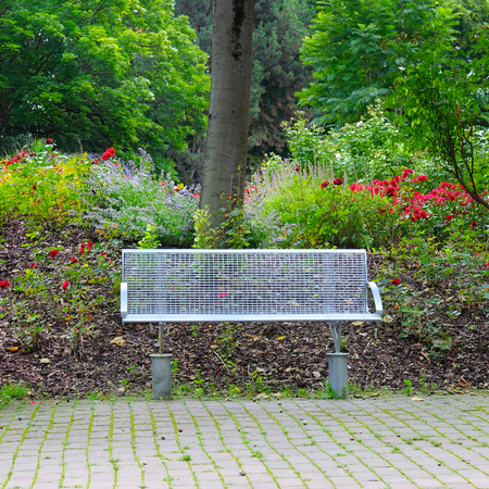 bench for relaxing in the summer parkの写真素材