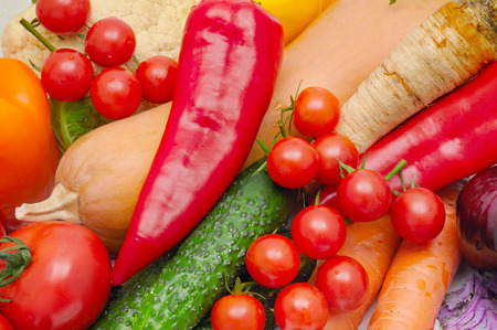 bright background of ripe vegetables and herbsの写真素材