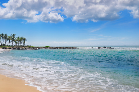 ocean, picturesque beach and blue skyの写真素材
