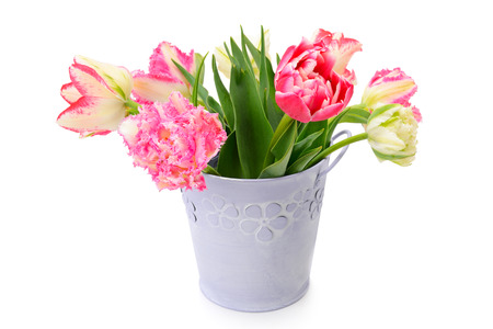 flowers tulips in decorative bucket isolated on white backgroundの写真素材