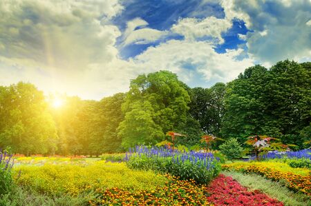 summer park with beautiful flowerbedsの写真素材