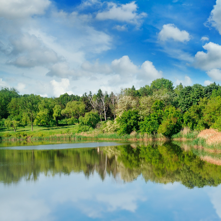 picturesque lake, summer forest on the banks and skyの写真素材