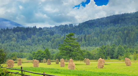 Haystacks in the mountain valley of the Carpathian mountainsの写真素材