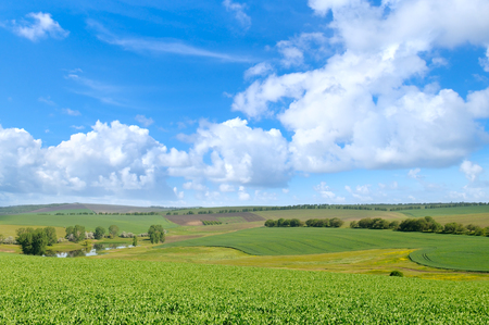 green field and blue sky with light cloudsの写真素材