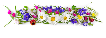 Flower arrangement isolated on white background. The frame is made of flowers of chamomiles, violets and phlox. Flat lay, top viewの写真素材