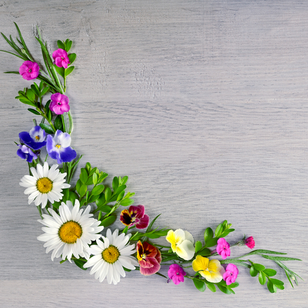Flowers composition.The frame is made of flowers of chamomiles, violets and phlox. Flat lay, top viewの写真素材