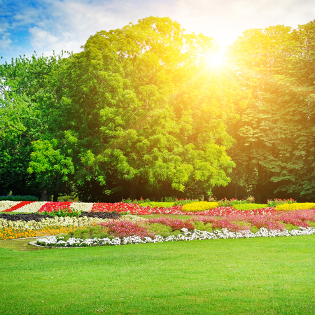 summer park with beautiful flower bedsの写真素材