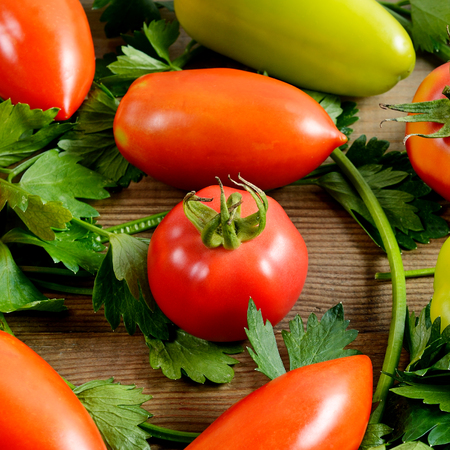 Healthy food background. Tomatoes and celery on wooden background.の写真素材