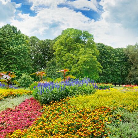 summer park with beautiful flowerbedsの写真素材