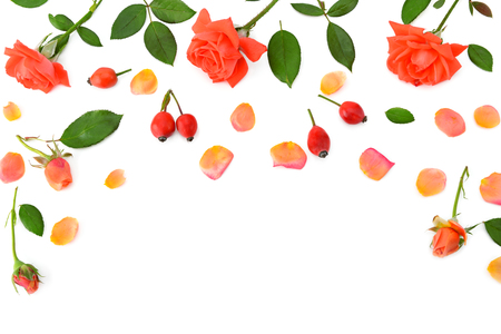 Pink roses isolated on white background. Flat lay, top view. Free space for text.の写真素材