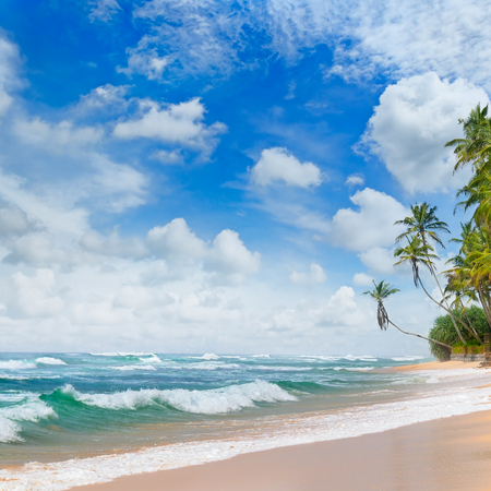 ocean, sandy beach and blue skyの写真素材