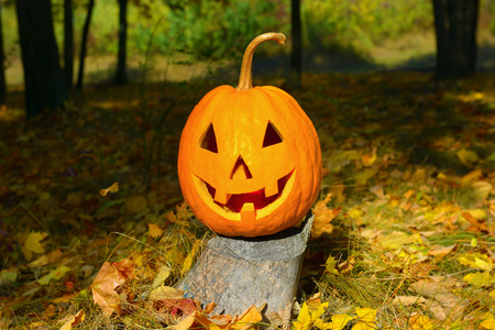 pumpkin-head against a background of an autumn forestの写真素材