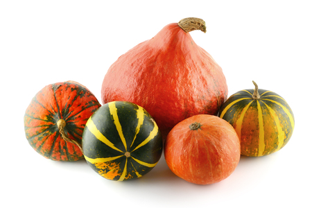 ripe pumpkins isolated on white backgroundの写真素材