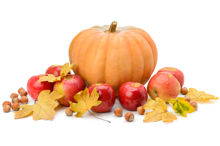 Pumpkin, apples and hazel isolated on white backgroundの写真素材
