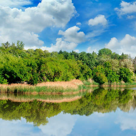 picturesque lake, summer forest on the banks and skyの写真素材