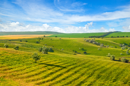Green field and blue sky. Picturesque hills formed by an old river terrace. Moldova.の写真素材