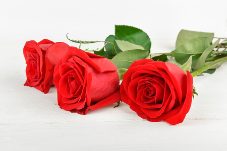 Beautiful red roses on a white wooden background. Flat lay, top view. Free space for text.の写真素材