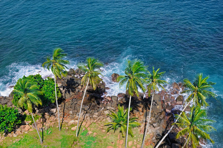 Beach tropical ocean with coral, palm trees and lagoon. View from above, from the height of the lighthouse.の写真素材