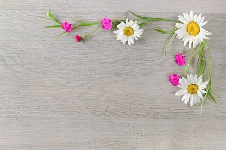 Flowers composition.The frame is made of flowers of chamomiles and phlox. Flat lay, top view. Free space for text.の写真素材