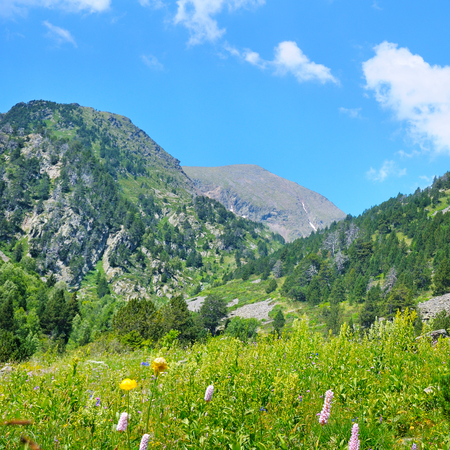 Picturesque mountain landscape,meadow, hiking trail and beautiful sky. A bright sunny day.の写真素材