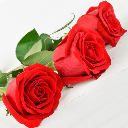 Beautiful red roses on a white wooden background. Flat lay, top view. Free space for text.の写真素材