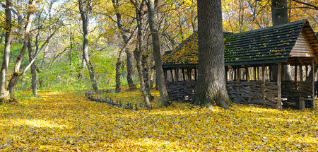 Shelter in the beautiful autumn forest. A bright sunny day. Wide photo.の写真素材