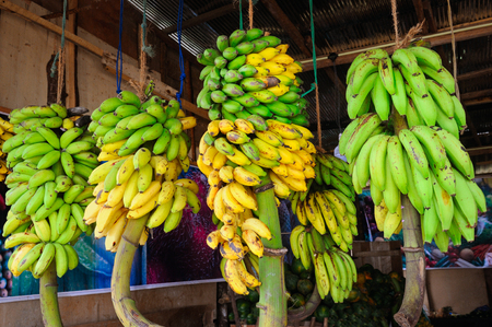 Yellow and green bananas in a vegetable shop. Street trading in Sri Lanka.の写真素材