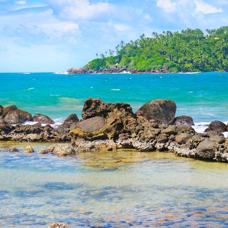 Beach tropical ocean with coral, palm trees and lagoonの写真素材