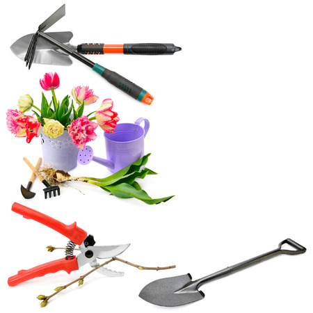 A set of garden tools isolated on white background. Collage. Free space for text.の写真素材