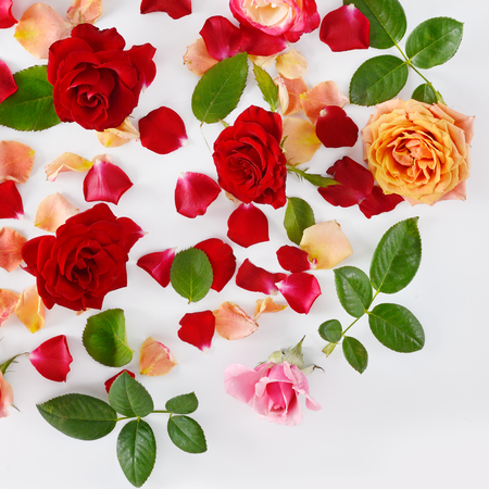 Flowers composition. Red roses on a white wooden background. Flat lay, top view.の写真素材